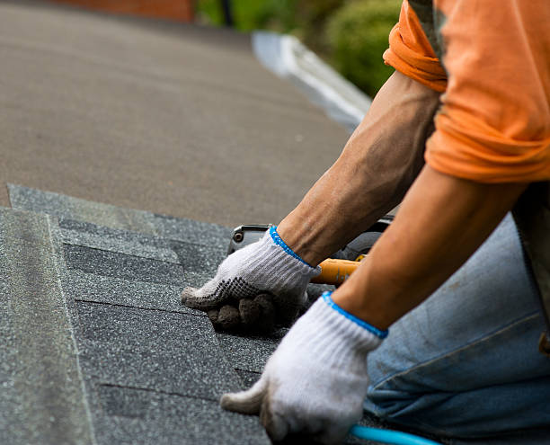 Best Storm Damage Roof Repair  in Duson, LA